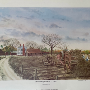 painting of historical harvesting of peanuts on farm