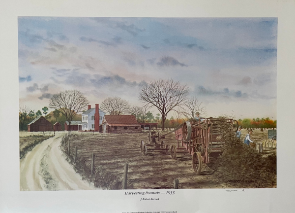 painting of historical harvesting of peanuts on farm