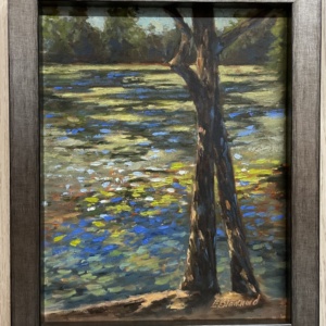 sunlit lake and trees