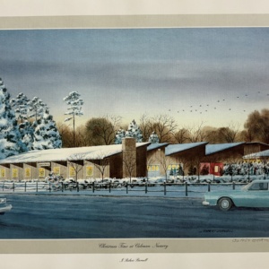 winter scene at COleman Nursery in portsmouth